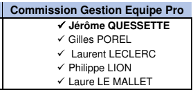 Gestion équipe professionnelle