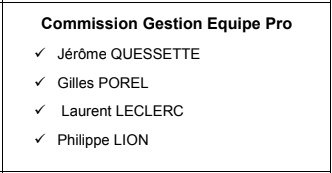 Gestion équipe professionnelle